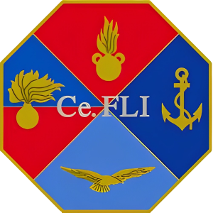 Ce.FLI - Virtual Learning Center