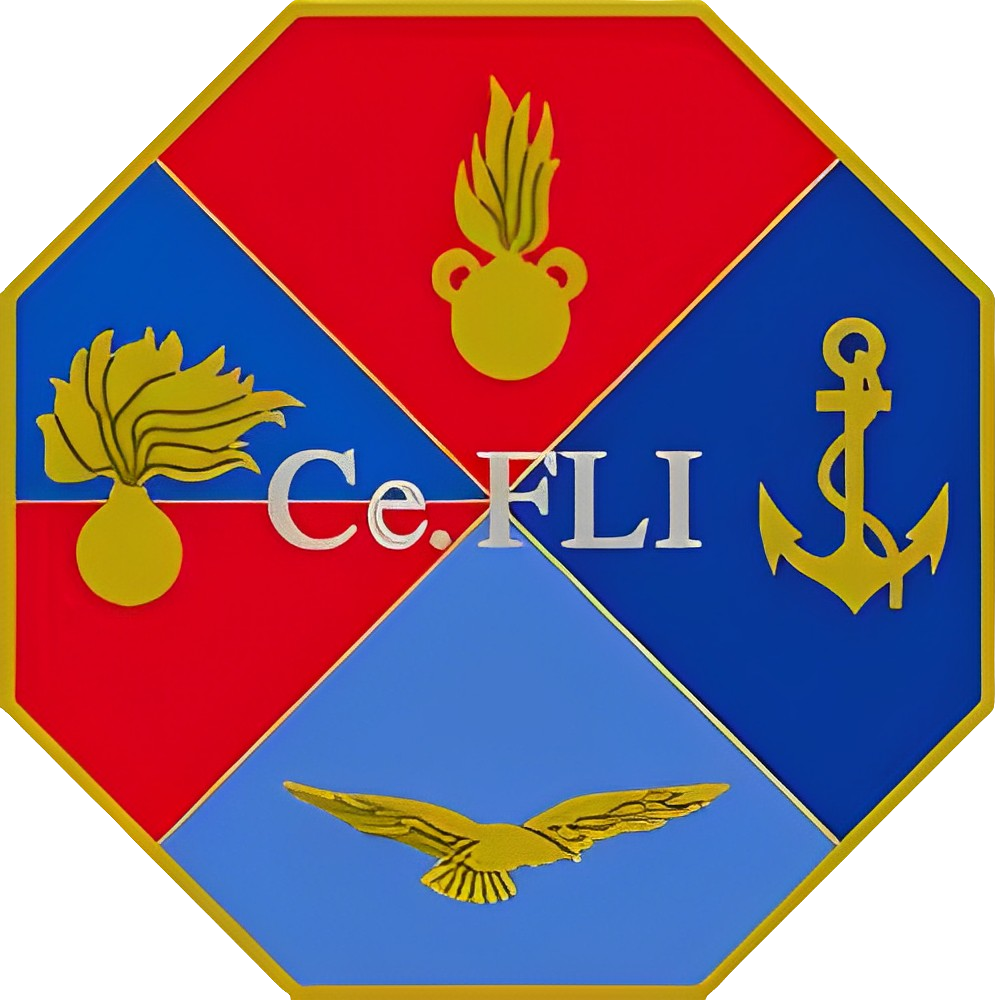 Ce.FLI - Virtual Learning Center